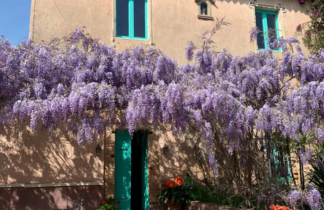 Corte Boero Bed&Breakfast-1